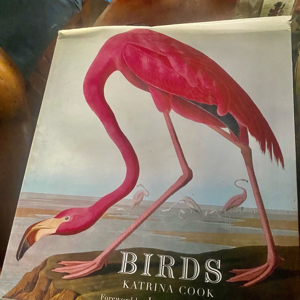 BIRDS Audubon Book - by Katrina Cook